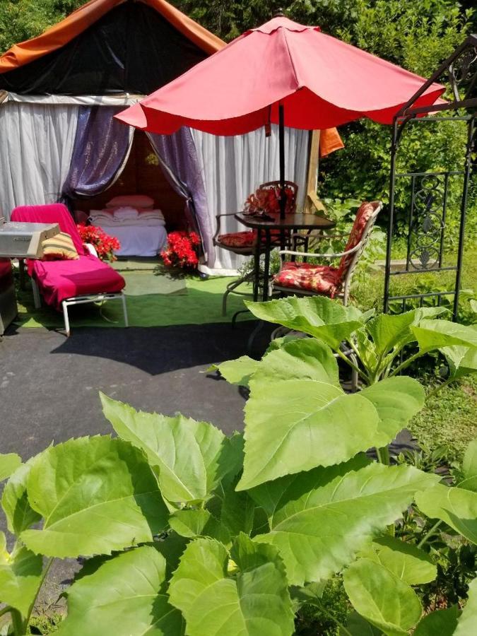 Hôtel Ethel Maud Place à Severn Extérieur photo